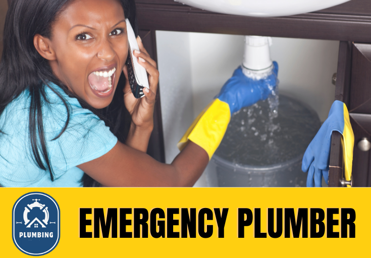 emergency plumber Orpington